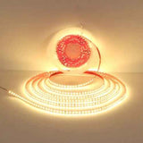 FlexiGlow, bande LED flexible et lumineuse